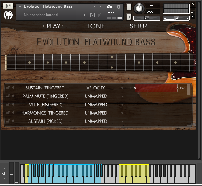 Orange Tree Samples Evolution Flatwound Bass